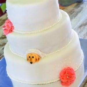 Reception wedding cake dog decor